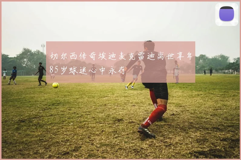 切尔西传奇埃迪麦克雷迪离世享年85岁球迷心中永存